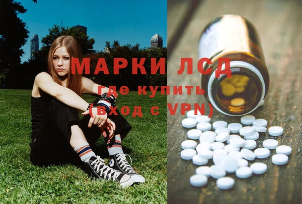 стаф Магадан