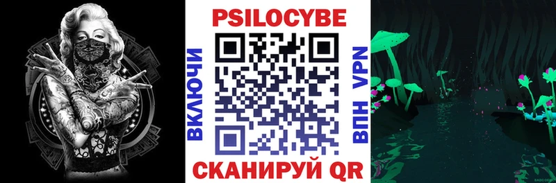 Псилоцибиновые грибы Psilocybine cubensis  Березники 